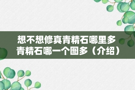 想不想修真青精石哪里多 青精石哪一个图多（介绍）