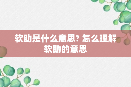 软助是什么意思? 怎么理解软助的意思