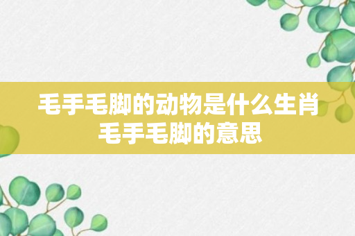 毛手毛脚的动物是什么生肖 毛手毛脚的意思