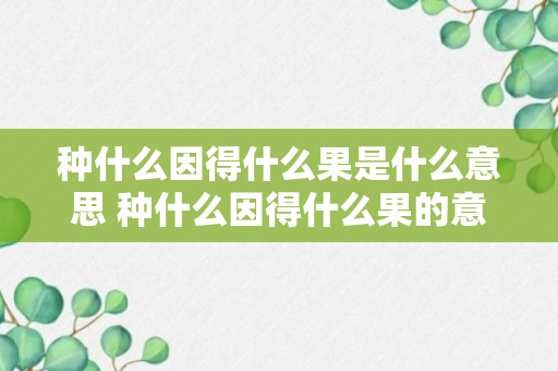 种什么因得什么果是什么意思 种什么因得什么果的意思