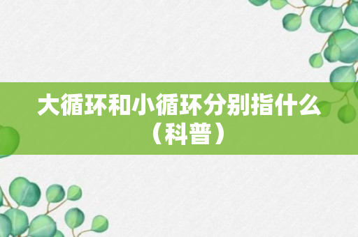 大循环和小循环分别指什么 （科普）