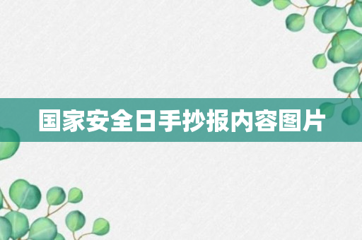 国家安全日手抄报内容图片