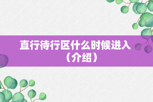 直行待行区什么时候进入 （介绍）