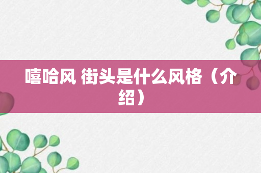 嘻哈风 街头是什么风格（介绍）