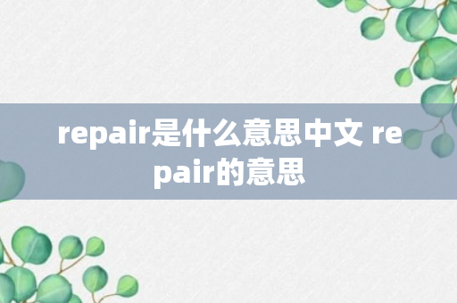 repair是什么意思中文 repair的意思