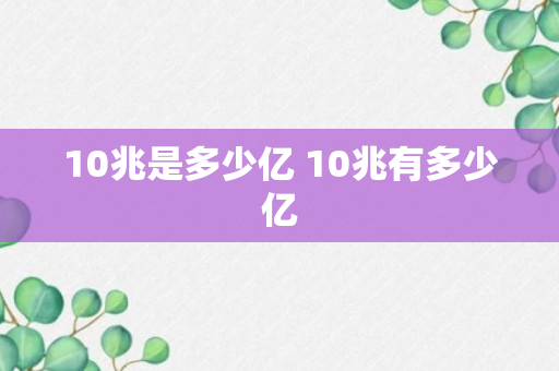 10兆是多少亿 10兆有多少亿