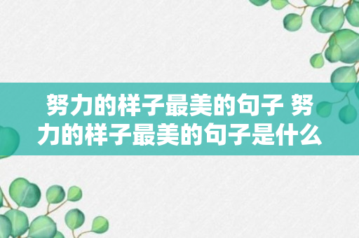 努力的样子最美的句子 努力的样子最美的句子是什么