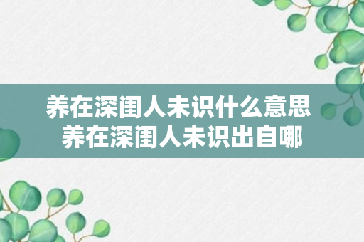 养在深闺人未识什么意思 养在深闺人未识出自哪