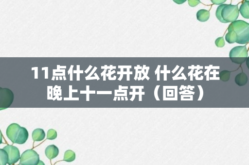 11点什么花开放 什么花在晚上十一点开（回答）