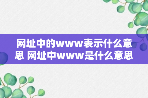 网址中的www表示什么意思 网址中www是什么意思（回答）