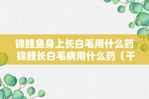 锦鲤鱼身上长白毛用什么药 锦鲤长白毛病用什么药（干货）