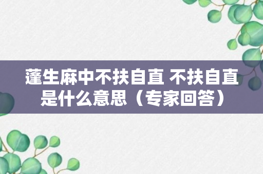 蓬生麻中不扶自直 不扶自直是什么意思（专家回答）