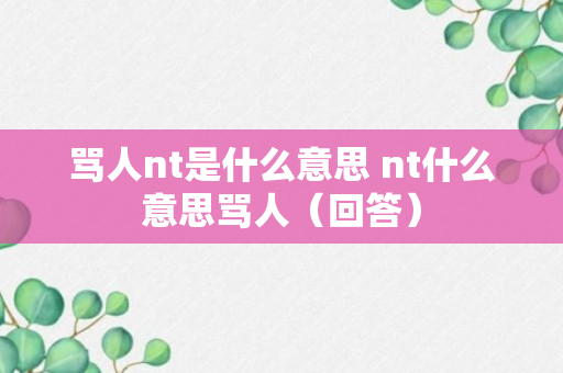 骂人nt是什么意思 nt什么意思骂人（回答）