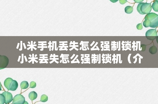 小米手机丢失怎么强制锁机 小米丢失怎么强制锁机（介绍）