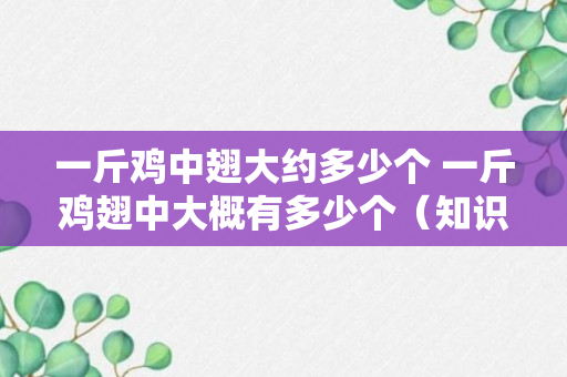 一斤鸡中翅大约多少个 一斤鸡翅中大概有多少个（知识科普）