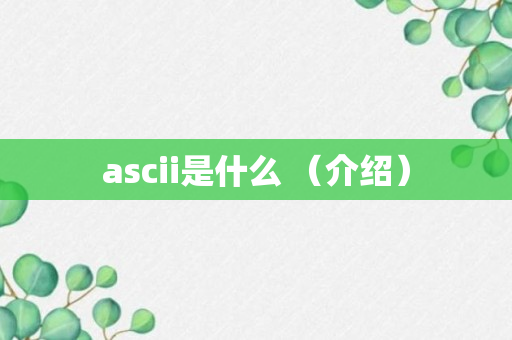 ascii是什么 （介绍）