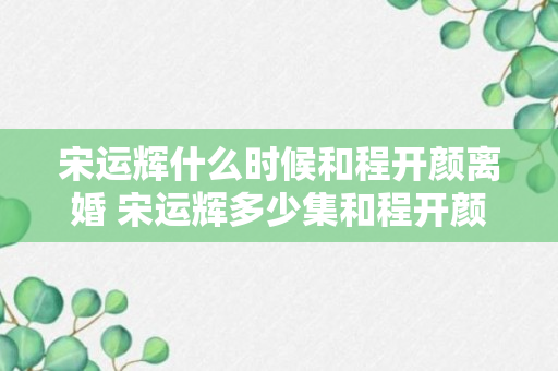 宋运辉什么时候和程开颜离婚 宋运辉多少集和程开颜离婚