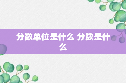 分数单位是什么 分数是什么