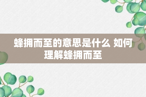 蜂拥而至的意思是什么 如何理解蜂拥而至