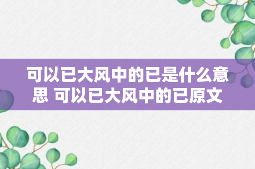 可以已大风中的已是什么意思 可以已大风中的已原文及翻译