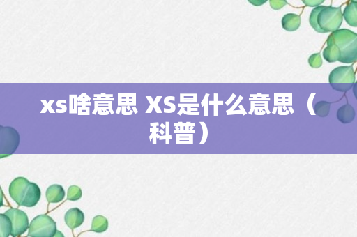 xs啥意思 XS是什么意思（科普）