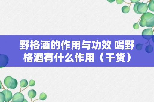 野格酒的作用与功效 喝野格酒有什么作用（干货）