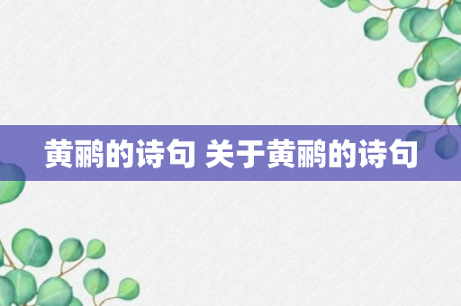 黄鹂的诗句 关于黄鹂的诗句