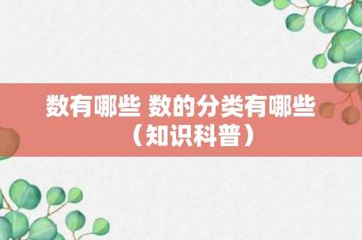 数有哪些 数的分类有哪些（知识科普）