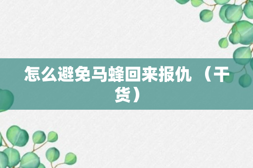 怎么避免马蜂回来报仇 （干货）