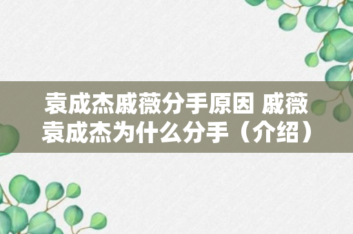 袁成杰戚薇分手原因 戚薇袁成杰为什么分手（介绍）