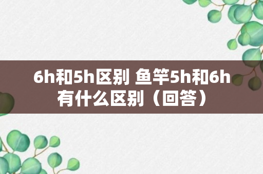 6h和5h区别 鱼竿5h和6h有什么区别（回答）