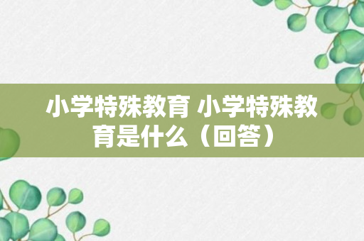 小学特殊教育 小学特殊教育是什么（回答）