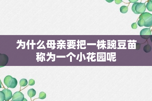 为什么母亲要把一株豌豆苗称为一个小花园呢