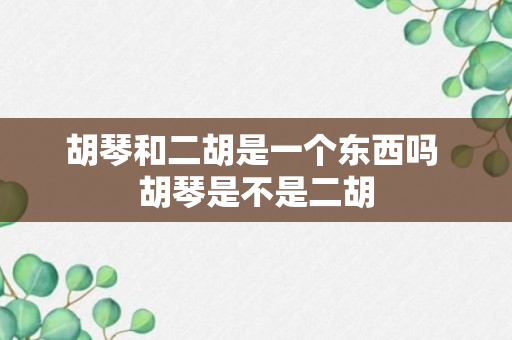 胡琴和二胡是一个东西吗 胡琴是不是二胡