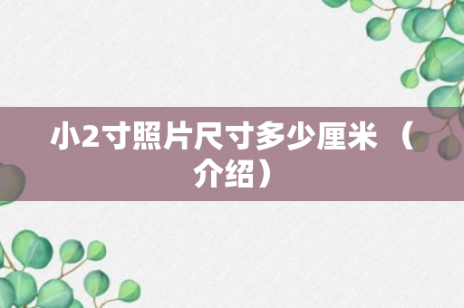 小2寸照片尺寸多少厘米 （介绍）