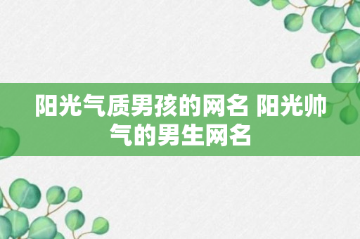 阳光气质男孩的网名 阳光帅气的男生网名