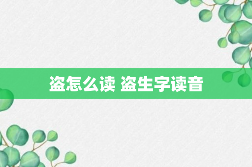 盗怎么读 盗生字读音