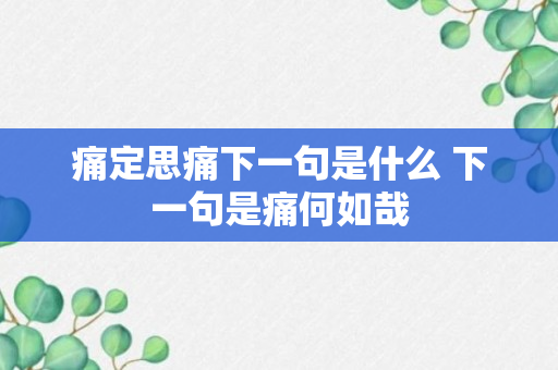 痛定思痛下一句是什么 下一句是痛何如哉