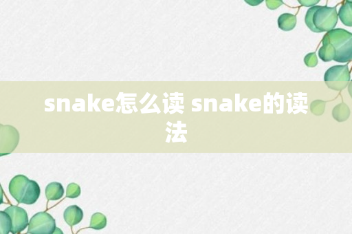 snake怎么读 snake的读法