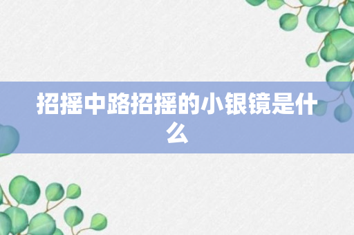 招摇中路招摇的小银镜是什么