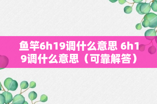 鱼竿6h19调什么意思 6h19调什么意思（可靠解答）