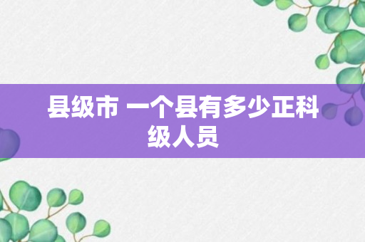 县级市 一个县有多少正科级人员