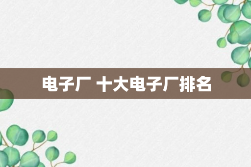 电子厂 十大电子厂排名