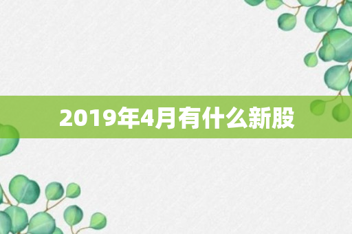 2019年4月有什么新股