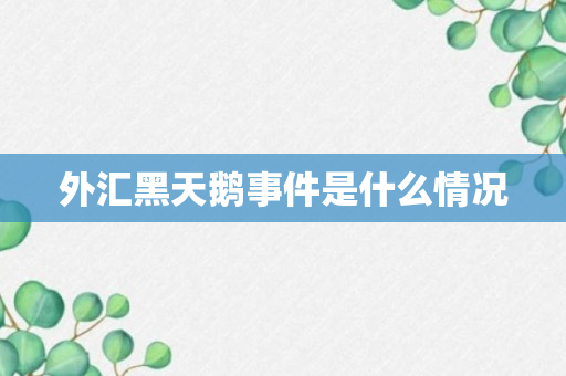 外汇黑天鹅事件是什么情况