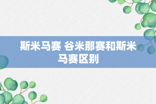 斯米马赛 谷米那赛和斯米马赛区别