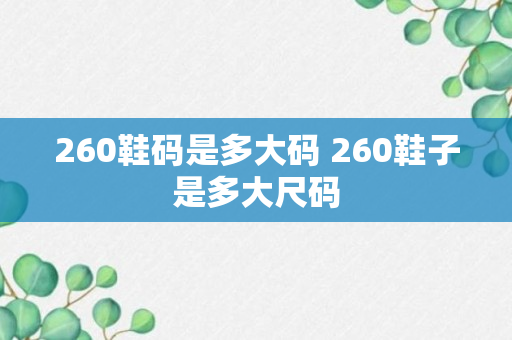 260鞋码是多大码 260鞋子是多大尺码