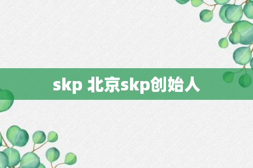 skp 北京skp创始人