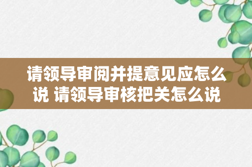 请领导审阅并提意见应怎么说 请领导审核把关怎么说