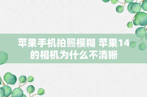 苹果手机拍照模糊 苹果14的相机为什么不清晰